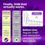 Purple Tree Hangover Support Supplement – 30 Pills