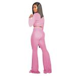 Women's 2 Piece Outfits Workout Tracksuit Long Sleeve Crop Top Sweatpants Pink