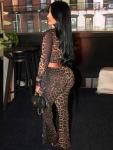 Ophestin Sexy Two Piece Club Outfits for Women Print Mesh See Through Long Sleeve Top Flared Bodycon Pants Set Leopard XXL