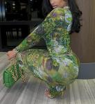 acelyn Women Sexy Two Piece Outfits Mesh Printed Bodycon Flared Pants Sets Club Going Out Birthday Outfits