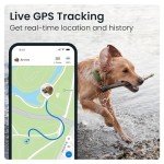 Tractive XL GPS Dog Collar - Live Tracking & Alerts