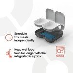Automatic 2 Meal Pet Feeder with Ice Pack