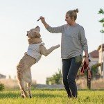 Dog Treat Pouch Training Set with Clicker and Whistle