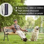 OYEFLY 3-in-1 Handheld Dog Trainer with Flashlight