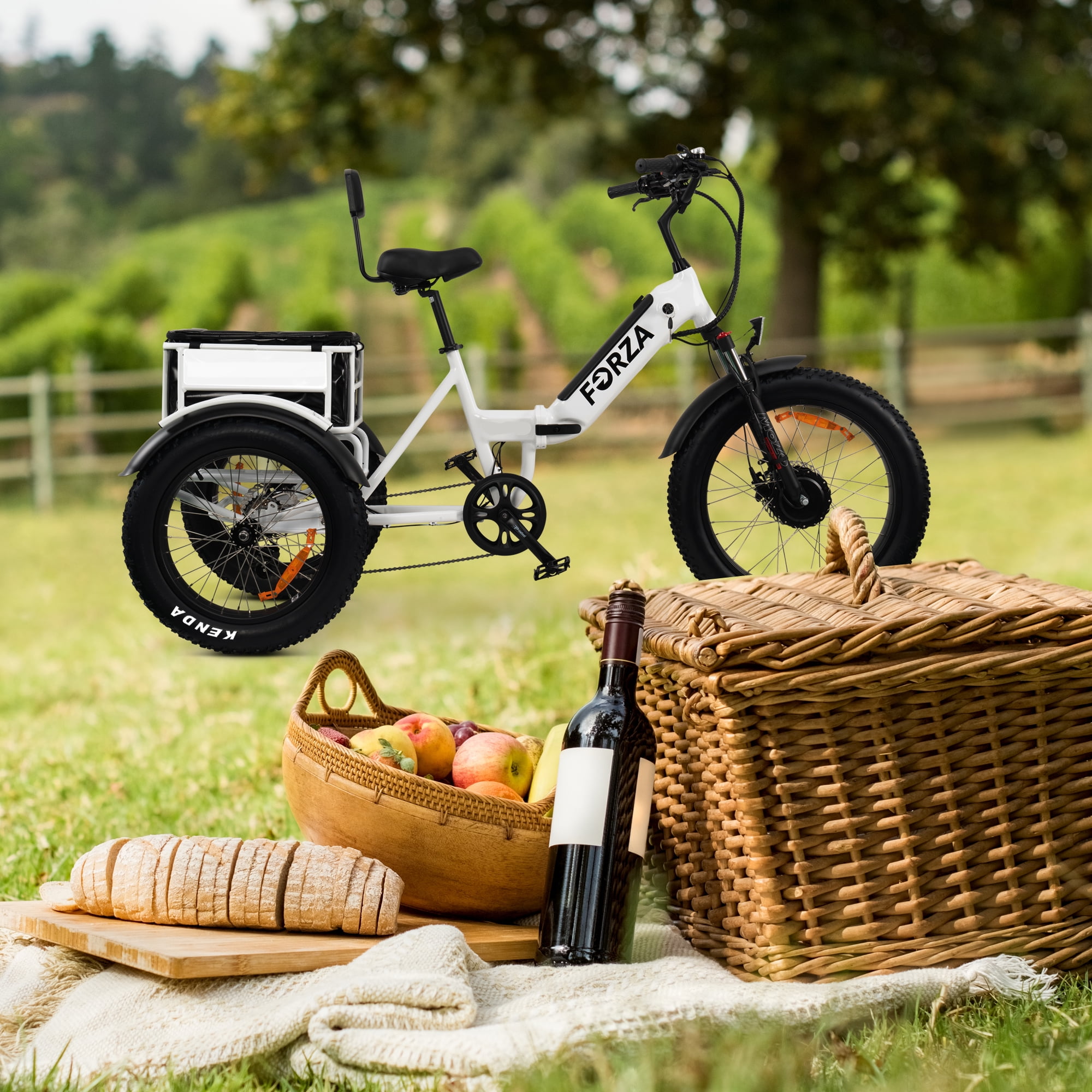 Foldable Electric Trike for Adults, 3 Wheels