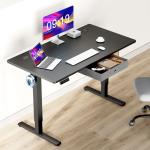 Height Adjustable Electric Standing Desk 55x24 Inch