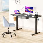 Height Adjustable Electric Standing Desk 55x24 Inch