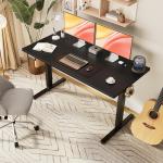 Adjustable Electric Standing Desk for Home Office