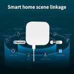 Smart Bluetooth Mesh Hub for Home Automation