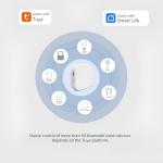 Smart Bluetooth Mesh Hub for Home Automation