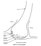 Artificial Intelligence: A Beginner's Guide, 3rd Edition