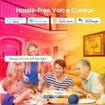 Smart RGB LED Bulb Compatible with Alexa/Google Home