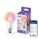 WiZ Smart LED Bulb with Voice Control and Automation
