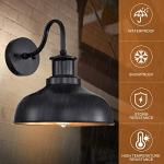 Diyel Industrial Rustic Outdoor Barn Wall Light