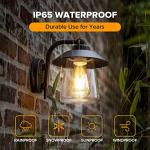 LUTEC Waterproof Matte Black Wall Lantern Sconce