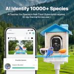 juzjuly Smart Bird Feeder with Camera - Solar Powered Birdfeeder Cam 2K HD AI Smart Identify Bird Species, Instant Arrival Alerts，Auto Record BirdVideo, Two-Way Audio, Gift for Birds Lover