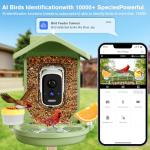 Smart Bird Feeder with Camera Solar Powered, AI Birds Species Identification, 2.5K HD Video Bird House with Camera for Outside, Weatherproof Design Ideal Gifts for Christmas, Bird Lovers, Green