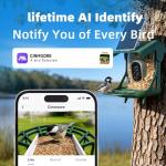 CINMOORE No-Monthly-Fees Solar Bird Feeder w/ 4MP Camera, Free AI Birds Species Identification, 2.5K Smart Bird House with Camera, Live View & Playback, Instant Arrival Alerts, Ideal for Birdlovers