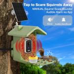 Smart Bird Feeder with Camera Solar Powered, AI Birds Species Identification, 2.5K HD Video Bird House with Camera for Outside, Weatherproof Design Ideal Gifts for Christmas, Bird Lovers, Green