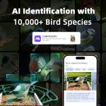 CINMOORE No-Monthly-Fees Solar Bird Feeder w/ 4MP Camera, Free AI Birds Species Identification, 2.5K Smart Bird House with Camera, Live View & Playback, Instant Arrival Alerts, Ideal for Birdlovers