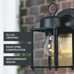 Black/Clear AI Wall Lantern by Designers Fountain
