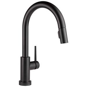 Smart Touchless Kitchen Faucet with Voice Control