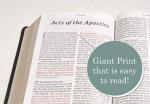 NLT Giant Print Bible with Filament App Access