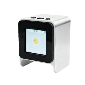 Smart Mini AI Voice Chatbot with Screen