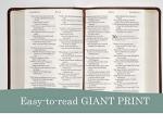 NLT Giant Print Bible with Filament Support