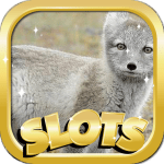 Arctic Nascar Online Slots - Top Free Game