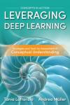 Deep Learning Strategies for Conceptual Understanding