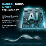 FLYSOUND Nature Pro Hearing Aids with Bluetooth