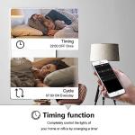 Ewelink WiFi Smart Relay Module for Home Automation