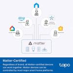 TP-Link Tapo Smart Switch with Energy Monitoring