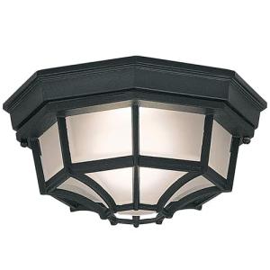 Black Outdoor Flush Mount Ceiling Light, 10.5 in