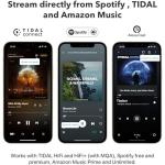 WiiM Mini: Wireless Multiroom Audio Streamer