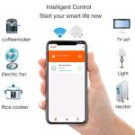 Sparkleiot Mini WiFi Smart Plug with Voice Control
