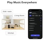 WiiM Mini: Wireless Multiroom Audio Streamer