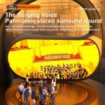 QiiSpark AI Language Translation Earbuds - Black