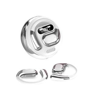 Real-Time AI Language Translator Earbuds - 144 Languages