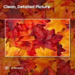 Hisense 32-Inch Smart Roku TV with Alexa