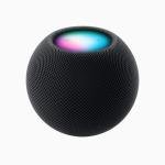Apple HomePod mini Speaker - Black
