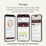 Dexcom Stelo Glucose Monitor & App – 2-Pack
