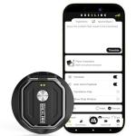 3-in-1 AI Translator and Recorder for Travel