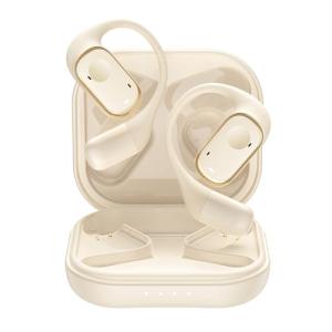 BISOFICE Real-Time Voice Translation Earbuds
