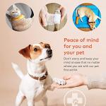 Pet First Aid Kit – Essential Dog Travel Gear