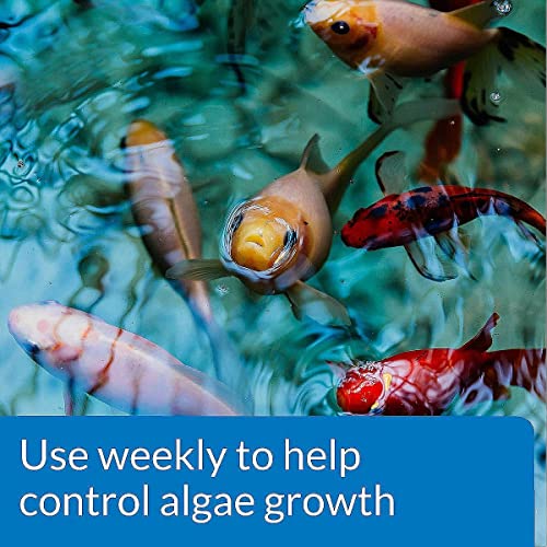 API PondCare AlgaeFix for Effective Pond Algae Control