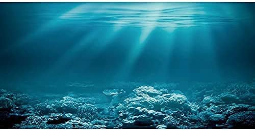 Undersea Theme Aquarium Background - 72x24 Inches
