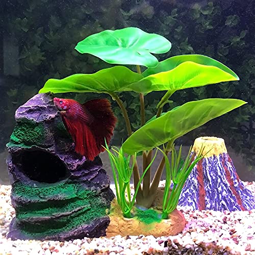 Betta Fish Leaf Pad Hammock for Aquariums