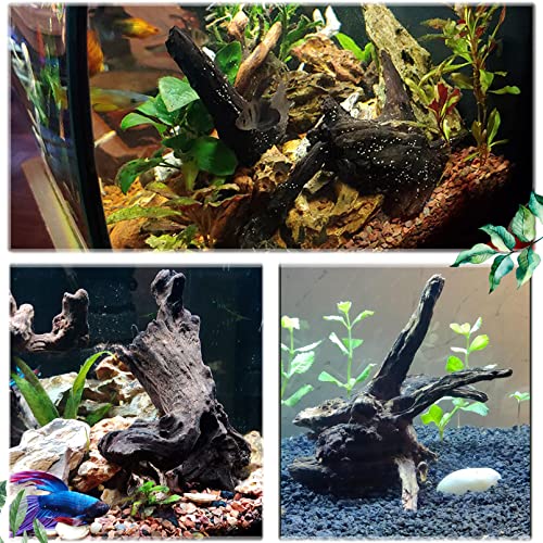 Natural Driftwood Decoration for Aquariums and Terrariums